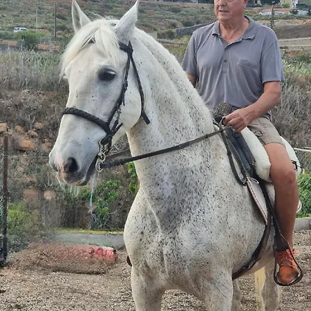 Tantulia La Casita Del Caballo Appartamento
