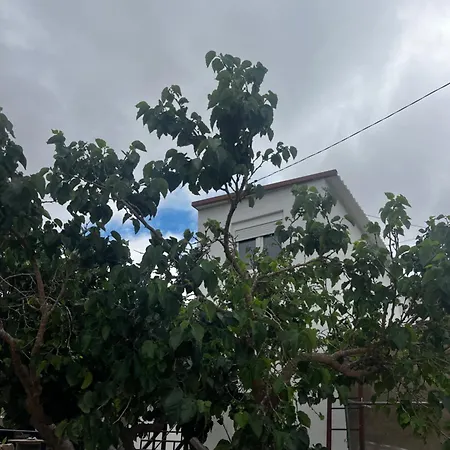 Tantulia La Casita Del Caballo * Σαν Μιγκέλ ντε Αμπόνα