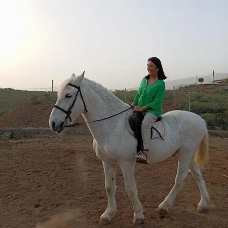 Διαμέρισμα Tantulia La Casita Del Caballo Σαν Μιγκέλ ντε Αμπόνα