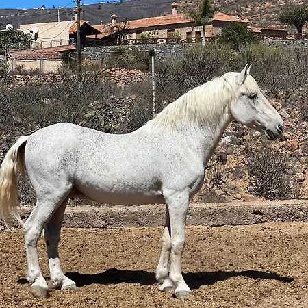 Διαμέρισμα Tantulia La Casita Del Caballo *