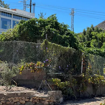 Tantulia La Casita Del Caballo Διαμέρισμα Σαν Μιγκέλ ντε Αμπόνα