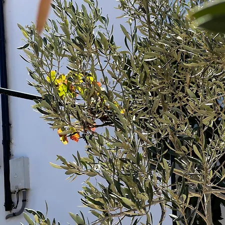 Διαμέρισμα Tantulia La Casita Del Caballo Σαν Μιγκέλ ντε Αμπόνα