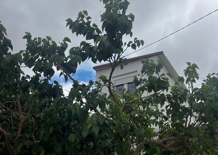 Tantulia La Casita Del Caballo * San Miguel de Abona