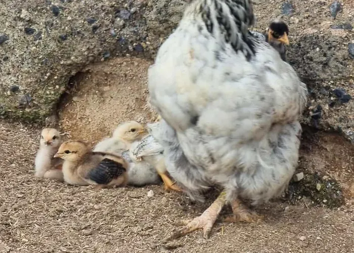 Lägenhet Tantulia La Casita Del Caballo *