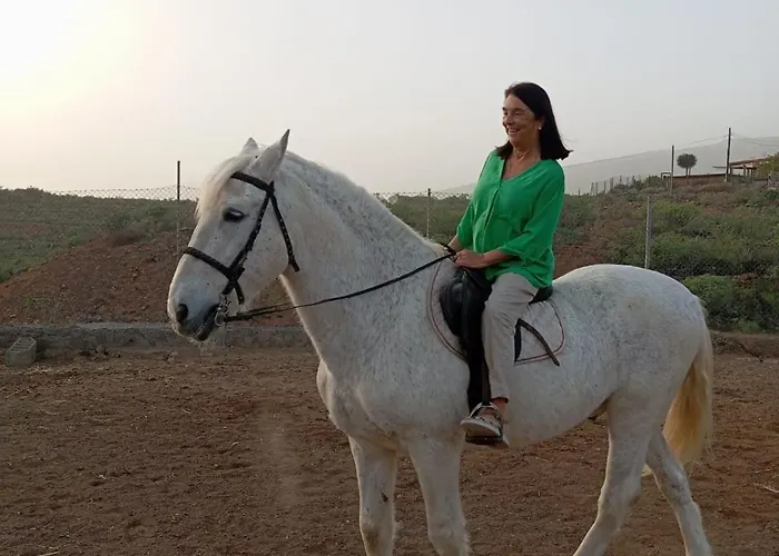 Lägenhet Tantulia La Casita Del Caballo San Miguel de Abona