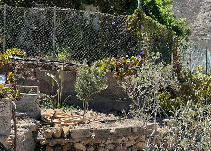 Tantulia La Casita Del Caballo San Miguel de Abona