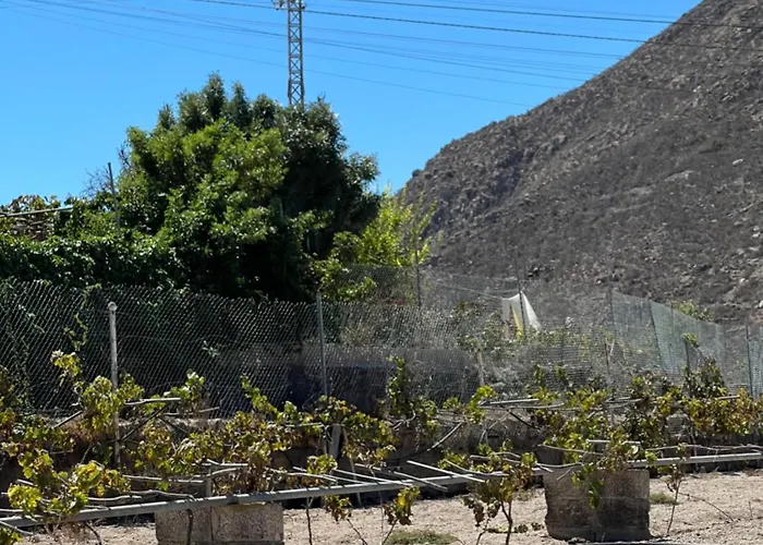 Tantulia La Casita Del Caballo * San Miguel de Abona