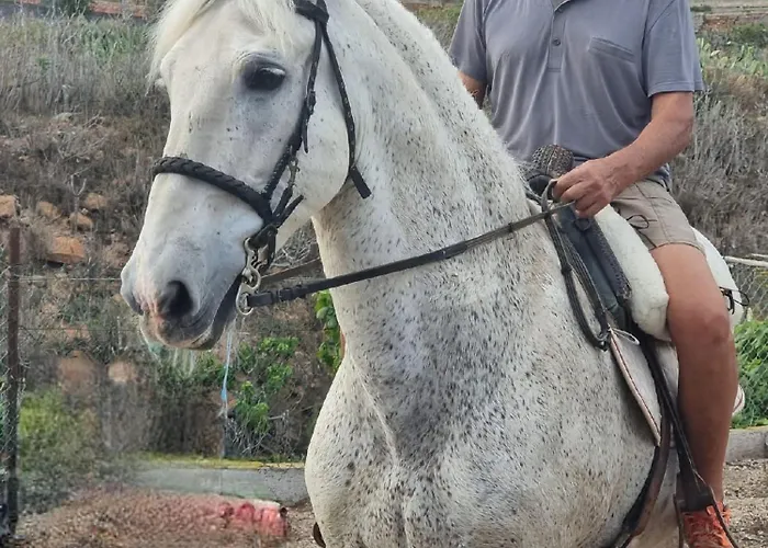 Tantulia La Casita Del Caballo Lägenhet
