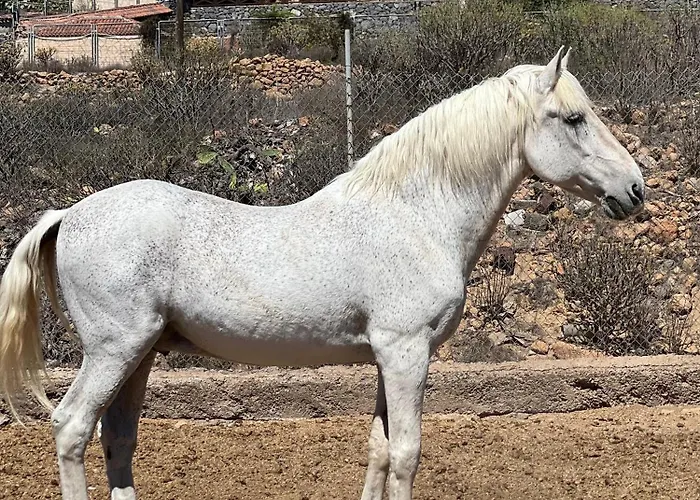 Lägenhet Tantulia La Casita Del Caballo *
