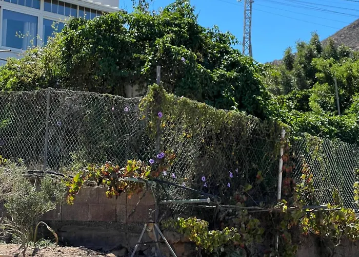 Tantulia La Casita Del Caballo Lägenhet San Miguel de Abona