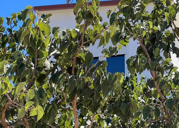 Tantulia La Casita Del Caballo Lägenhet